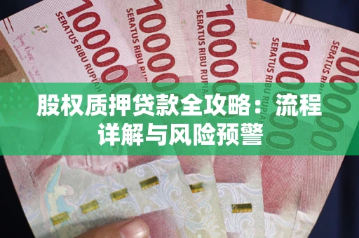 北京股权质押贷款全攻略：流程详解与风险预警