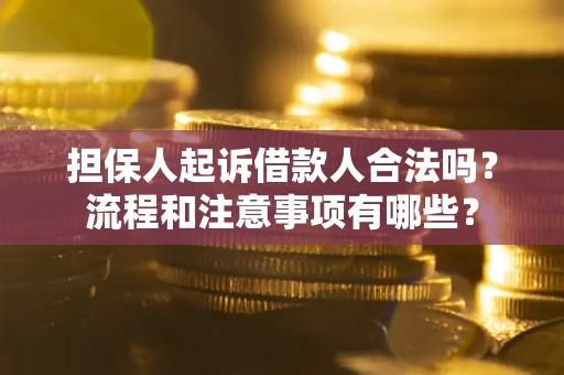 北京担保人起诉借款人合法吗？流程和注意事项有哪些？