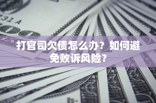 北京打官司欠债怎么办？如何避免败诉风险？