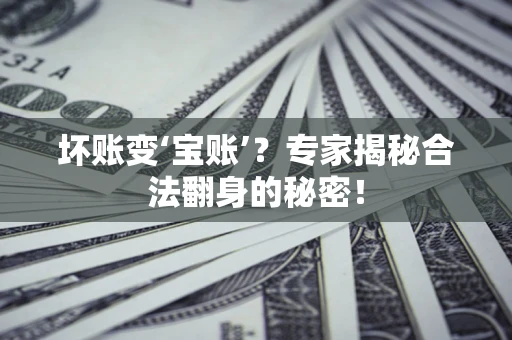 北京坏账变‘宝账’？专家揭秘合法翻身的秘密！