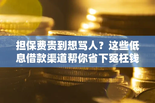 北京担保费贵到想骂人？这些低息借款渠道帮你省下冤枉钱