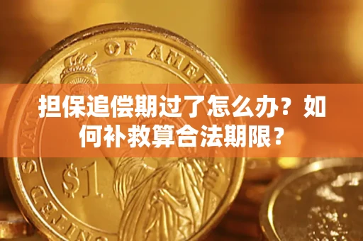 北京担保追偿期过了怎么办？如何补救算合法期限？