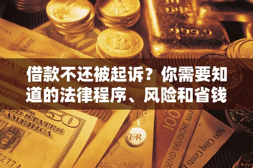 北京借款不还被起诉？你需要知道的法律程序、风险和省钱技巧